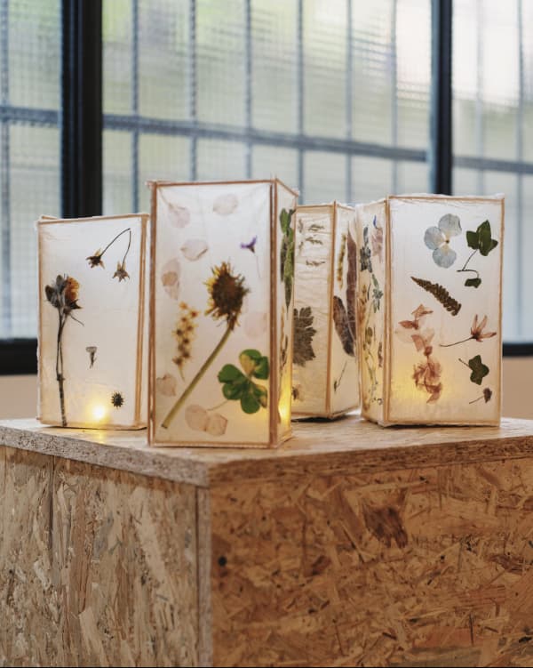 Lucciole per Lanterne